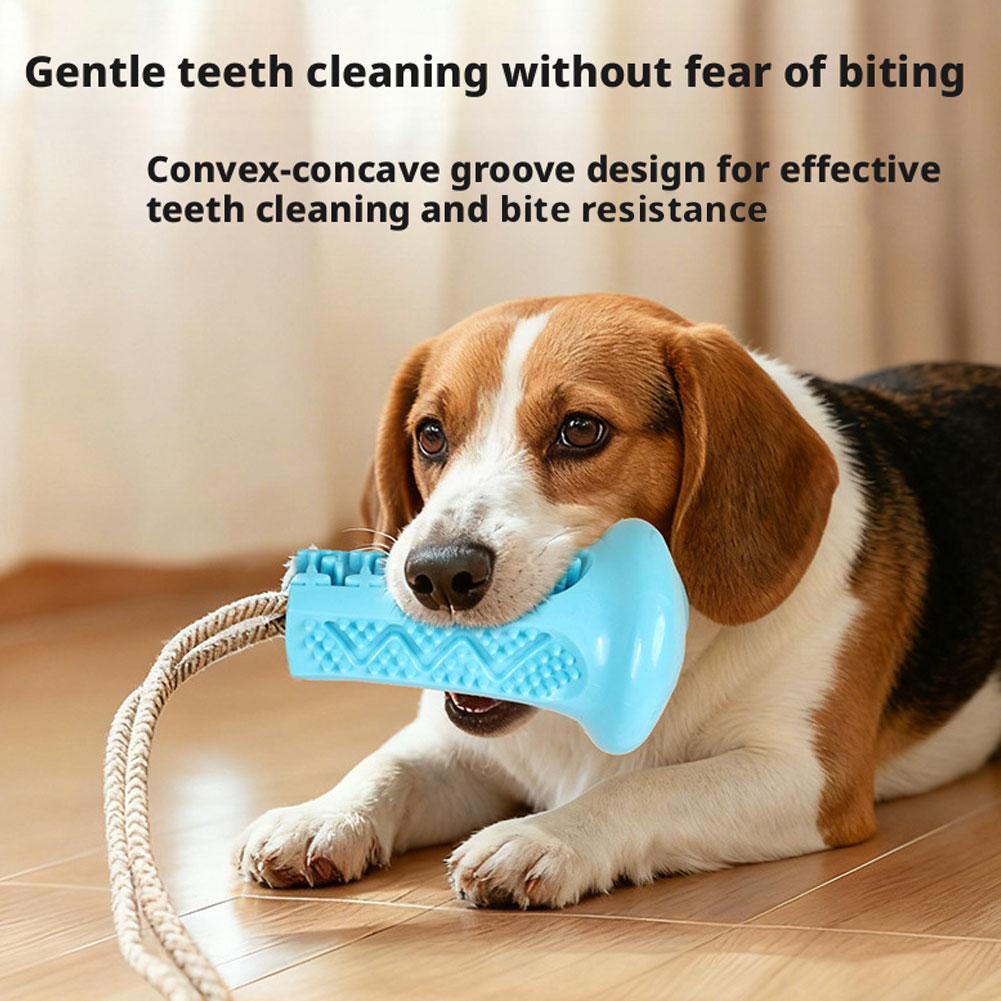 Suction Cup Dog Chew Toy Inter - Suction Cup Dog Tug Toy recension och pris