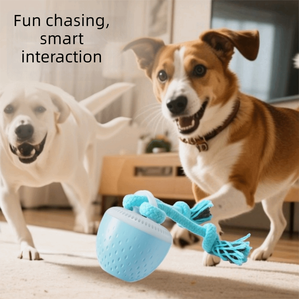 Bite Resistant Smart Pet Toy B - Automatic Moving Dog Ball recension och pris
