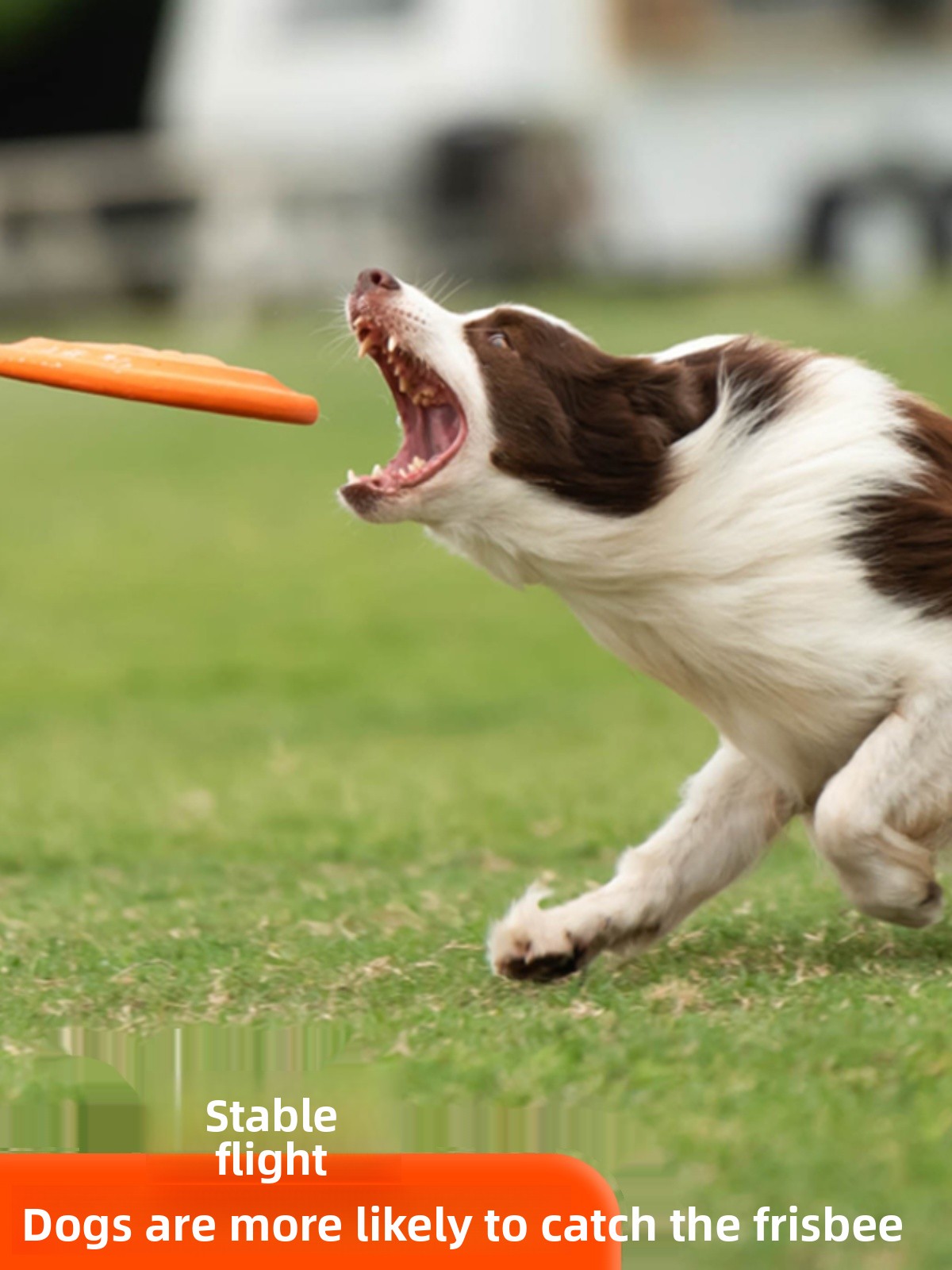 Dog Flying Disc Soft Durable B - Flying Disc Dog Training Toy recension och pris