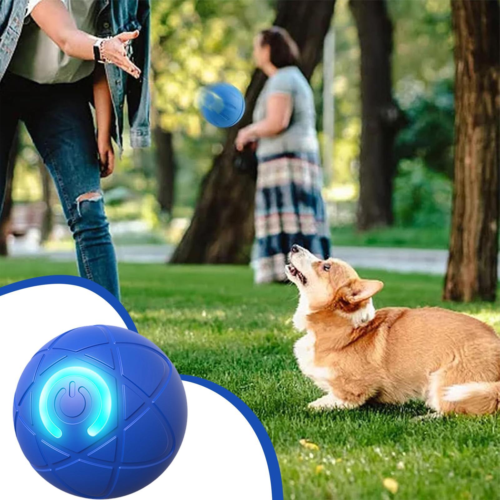 Smart Interactive Dog Toys for - Automatic Moving Dog Ball recension och pris