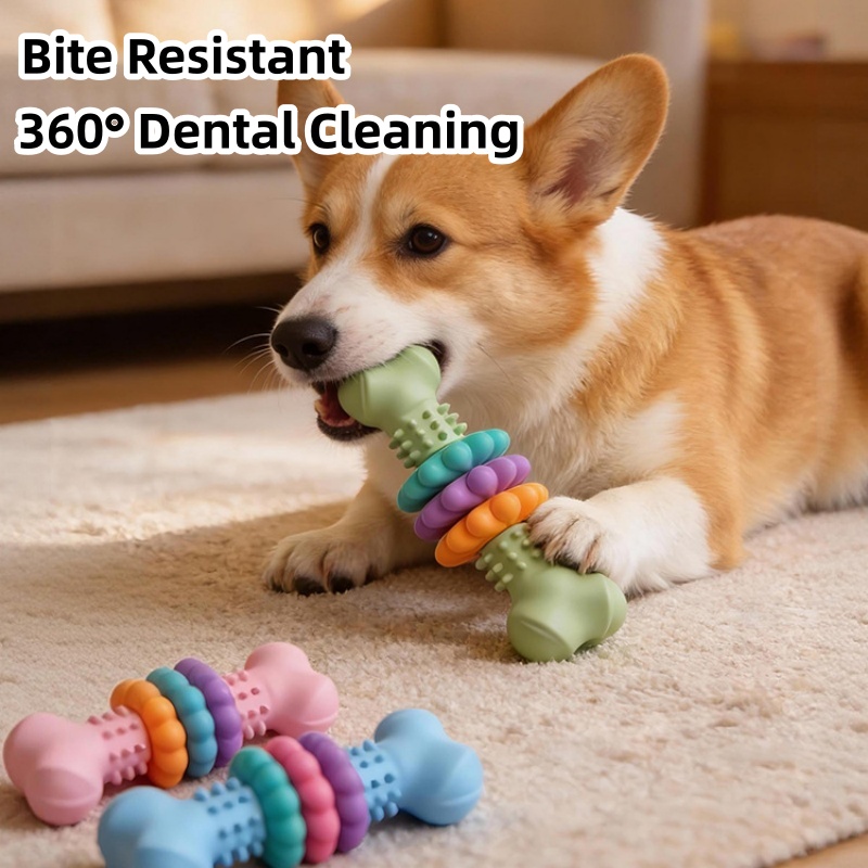 Durable TPR Dog Chew Toy Bone  - Teeth Cleaning Dog Chew Bone recension och pris
