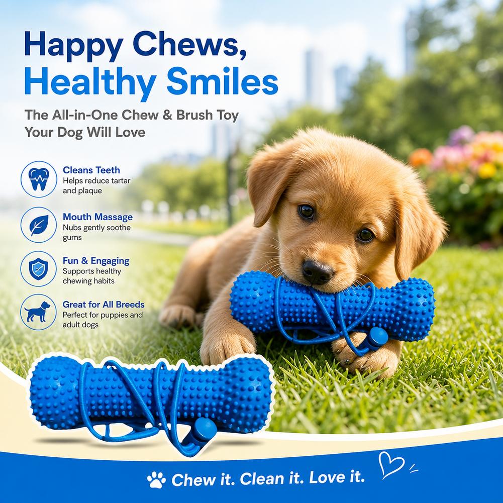 Dog Teeth Cleaning Chew Toy Bi - Teeth Cleaning Dog Chew Bone recension och pris