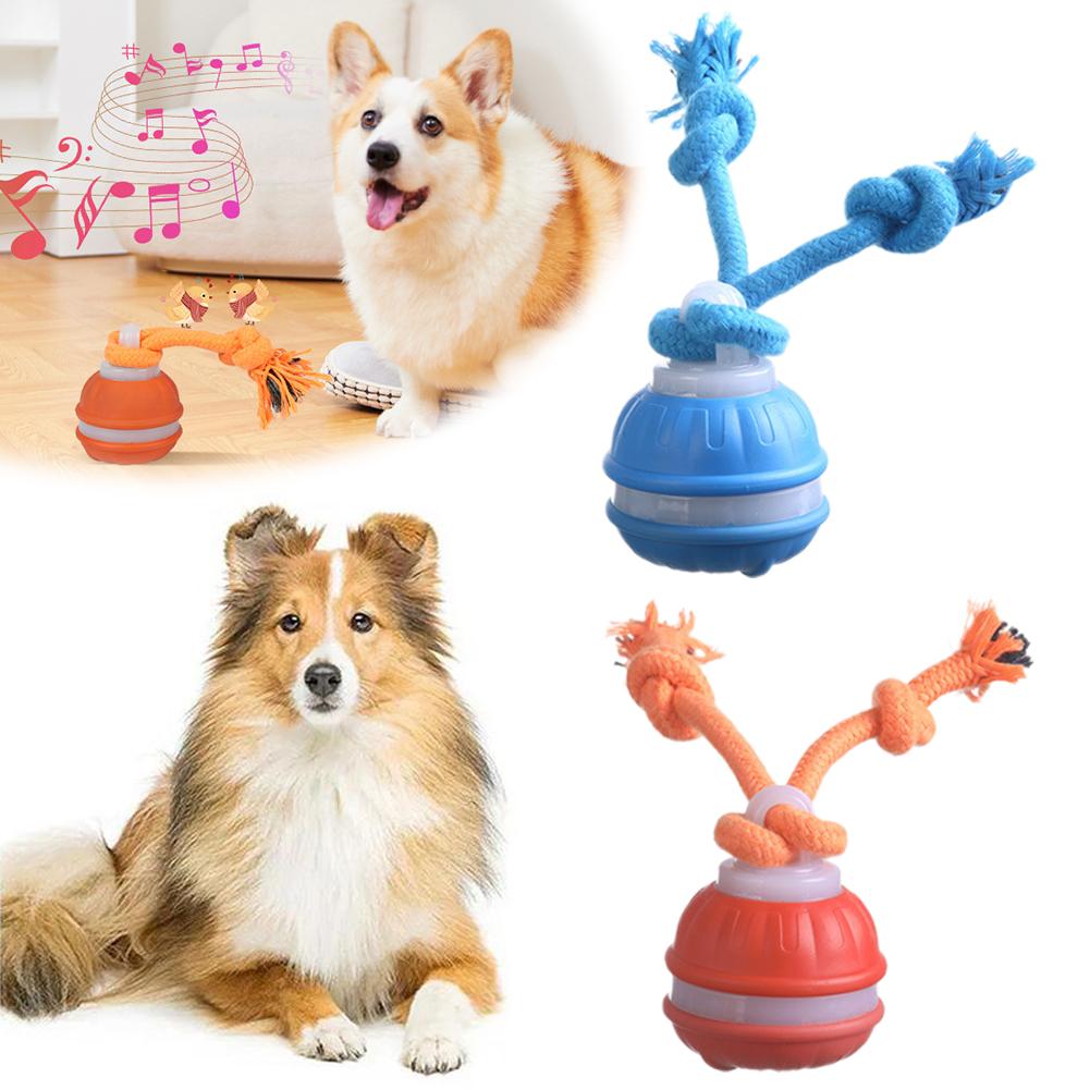 Smart Rechargeable Dog Ball In - Automatic Moving Dog Ball recension och pris