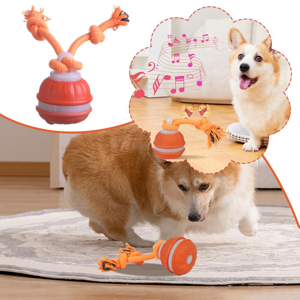 Smart Rechargeable Dog Ball In - Automatic Moving Dog Ball recension och pris