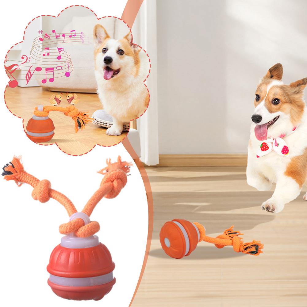 Smart Rechargeable Dog Ball In - Automatic Moving Dog Ball recension och pris