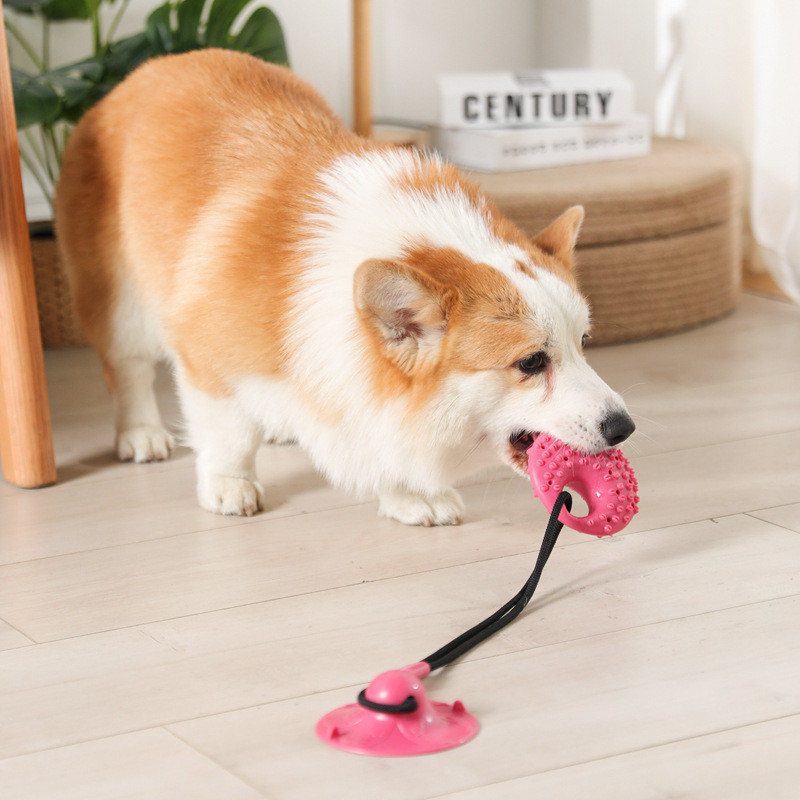 Dog Toys Silicon Suction Cup T - Suction Cup Dog Tug Toy recension och pris