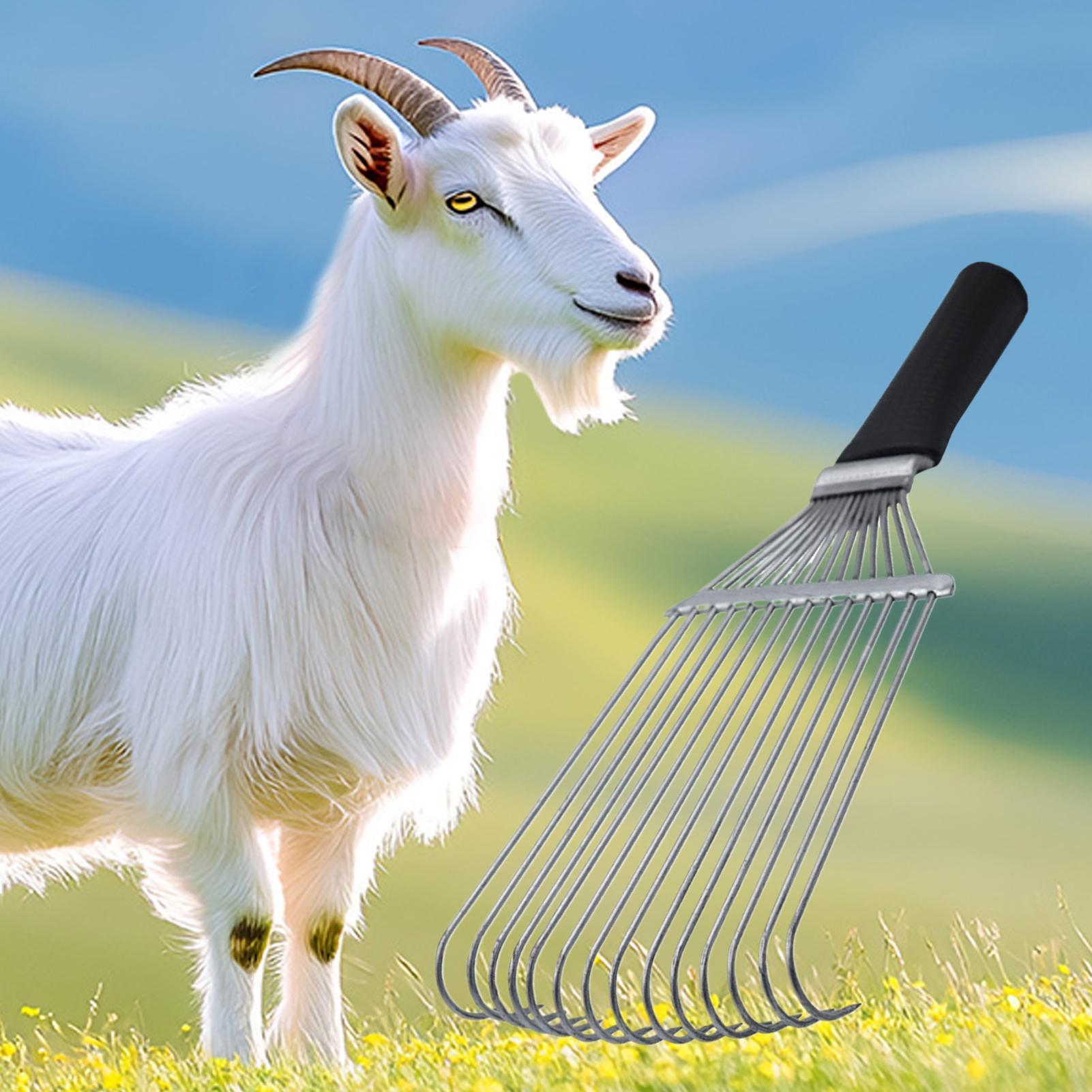 Undercoat Grooming Rake Underc - Pet Grooming recension och pris