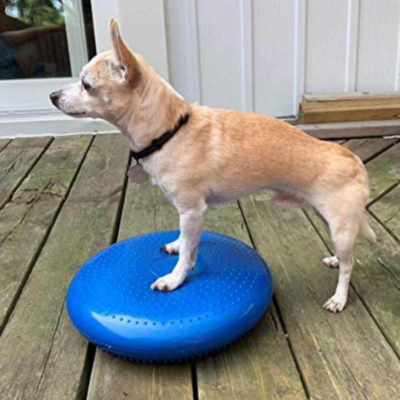 Dogs Training Aids Balance Fly - Flying Disc Dog Training Toy recension och pris
