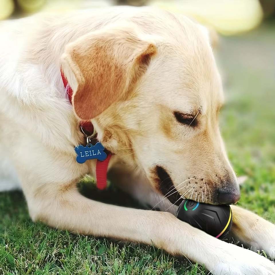 Interactive Smart Dogs Toys Ba - Automatic Moving Dog Ball recension och pris