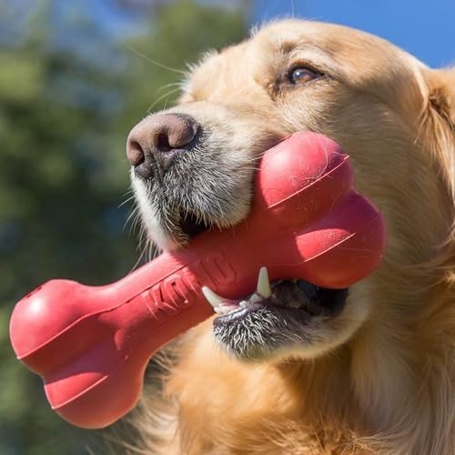 Classic Durable Natural Rubber - Rubber Treat Dispensing Dog Toy recension och pris