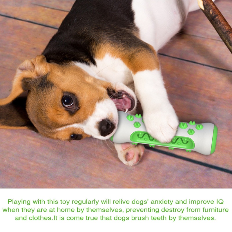 Pet Dog Teething Stick Chewabl - Teeth Cleaning Dog Chew Bone recension och pris