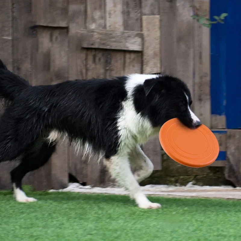 Silicone Flying Saucer Funny D - Flying Disc Dog Training Toy recension och pris