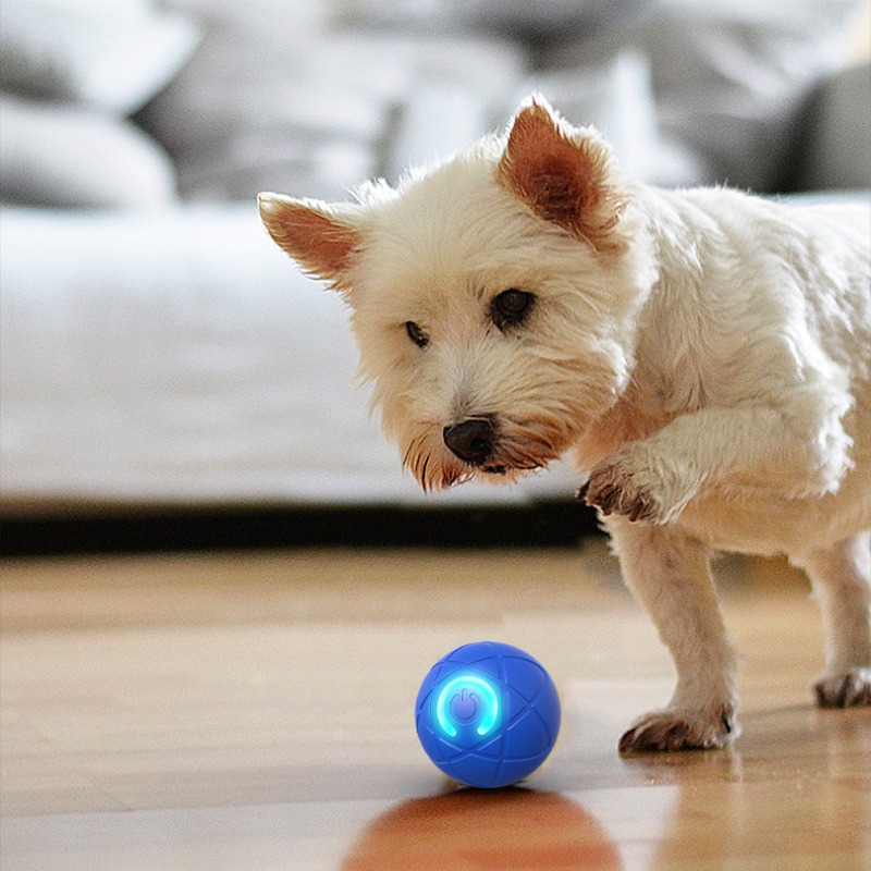 Smart Dog Toy Ball USB Automat - Suction Cup Dog Tug Toy recension och pris