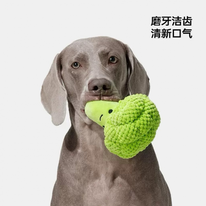 Dog Sound Toy for Teeth Grindi - Interactive Squeaky Plush Dog Toy recension och pris