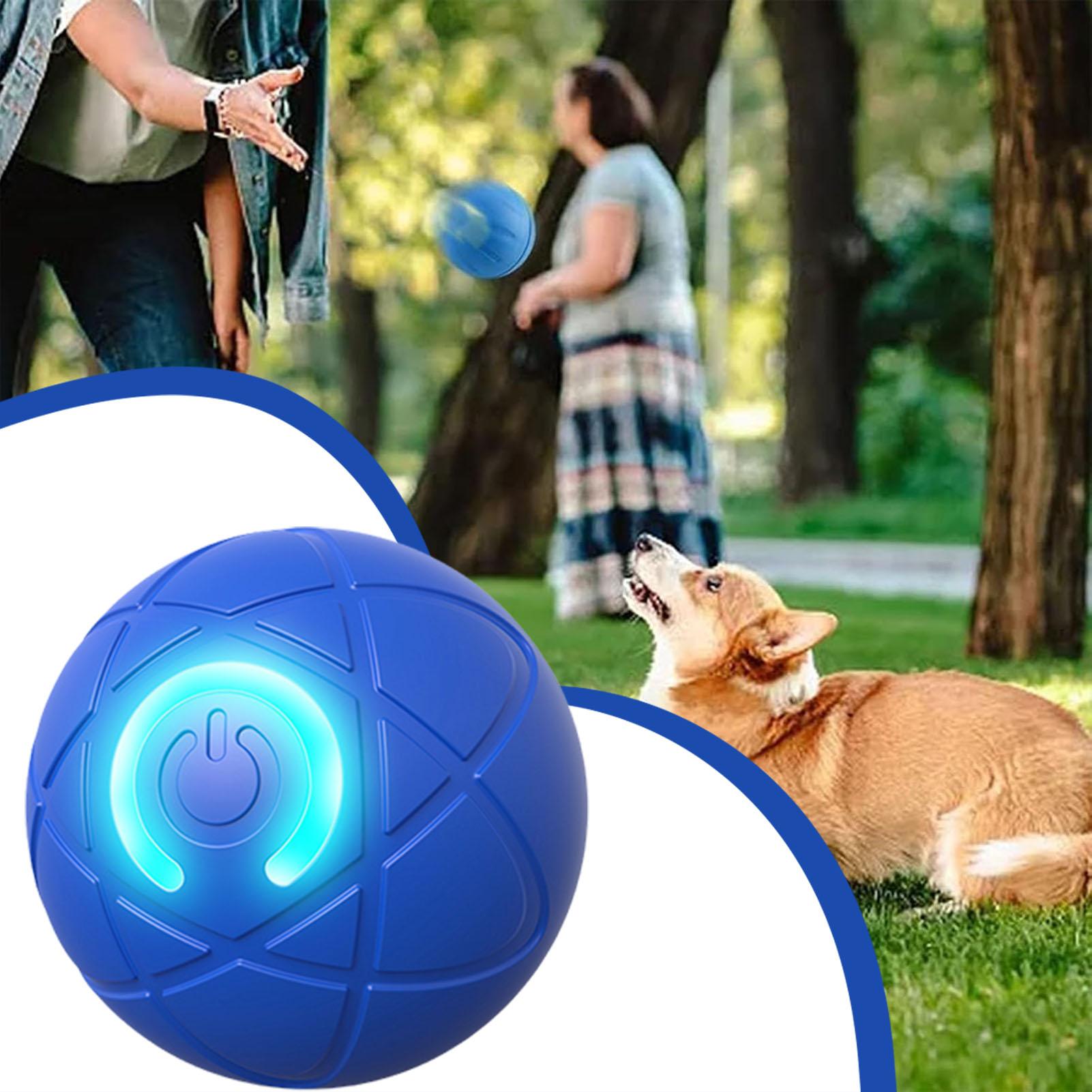 Smart Dog Toys Ball Electronic - Automatic Moving Dog Ball recension och pris