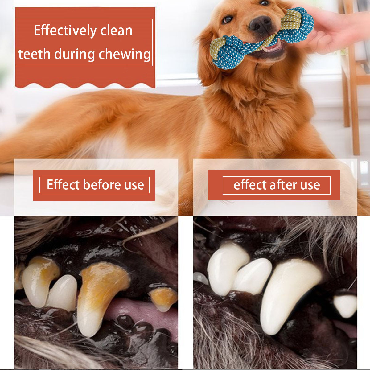 New 7PCS Pet Dog Puppy Double  - Teeth Cleaning Dog Chew Bone recension och pris