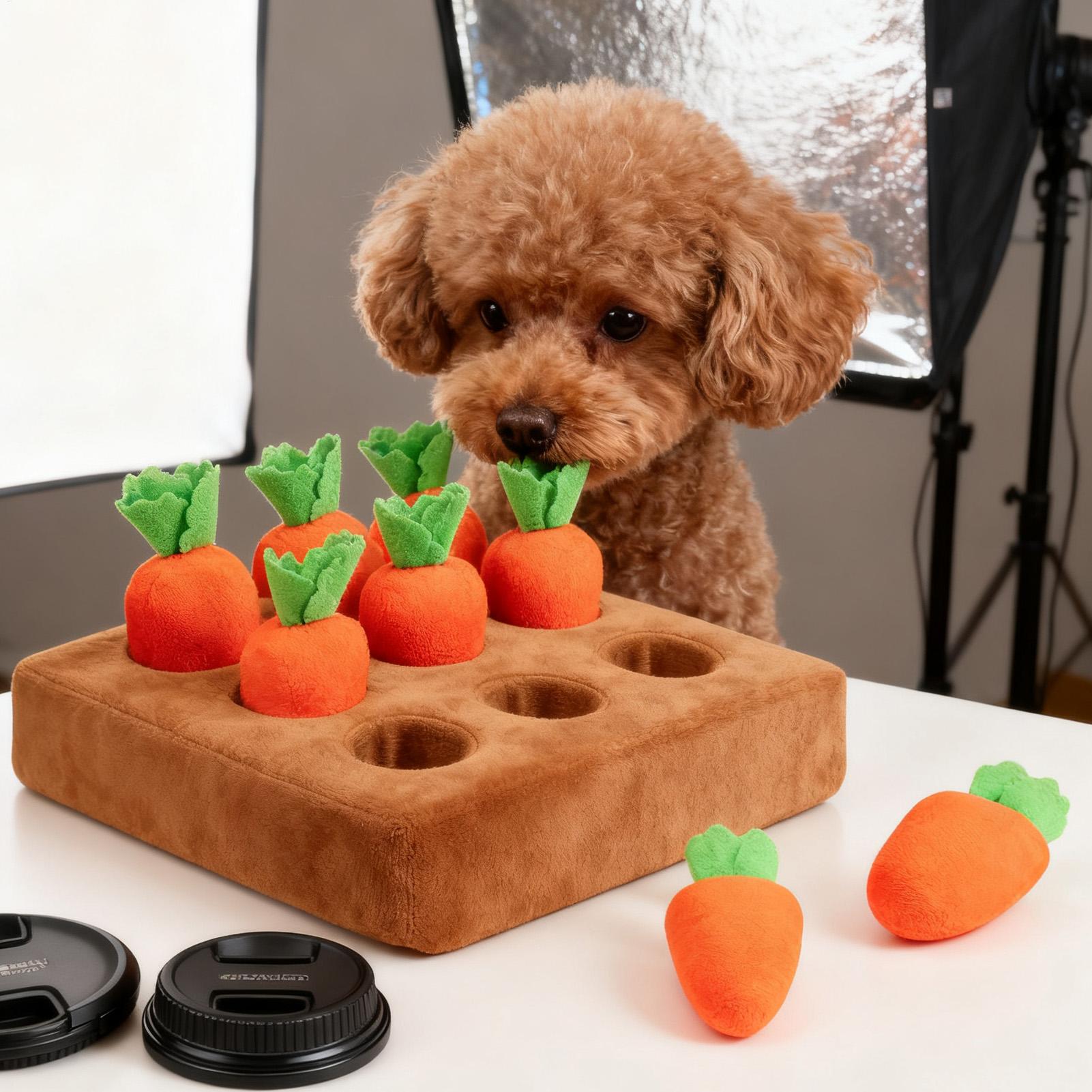 Pet Carrot Interactive Toys Do - Snuffle Mat For Dogs recension och pris