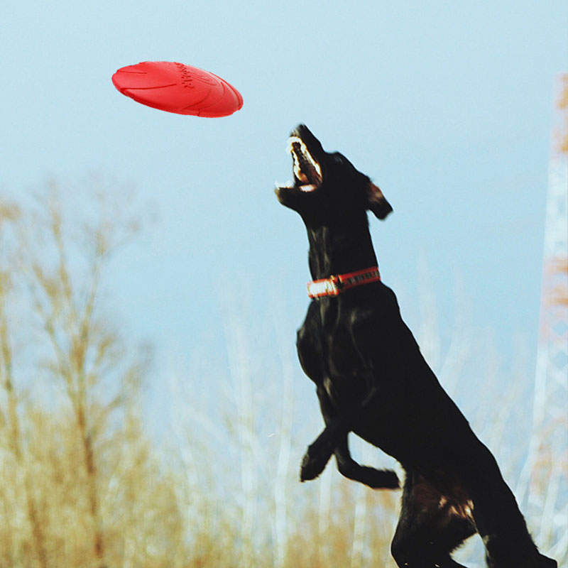 Rubber Pet Dog Flying Discs Sa - Flying Disc Dog Training Toy recension och pris