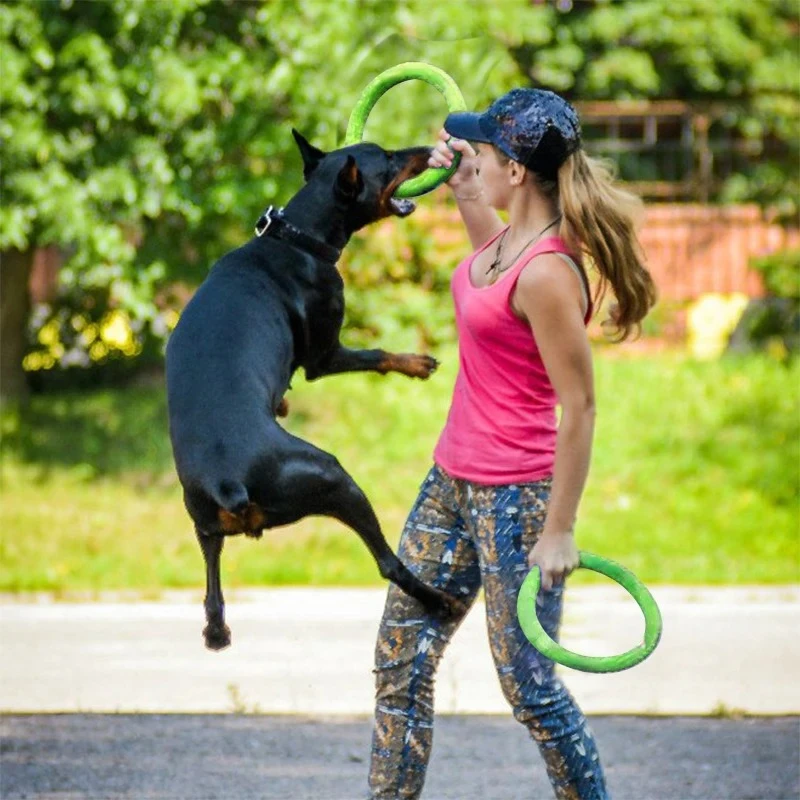 Dog Toys Pet Flying Discs EVA  - Flying Disc Dog Training Toy recension och pris