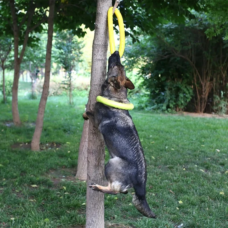 Dog Toys Pet Flying Discs EVA  - Flying Disc Dog Training Toy recension och pris