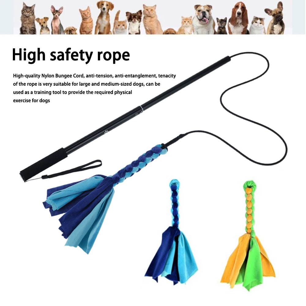 Retractable Dog Stick Interact - Indestructible Dog Chew Toy recension och pris