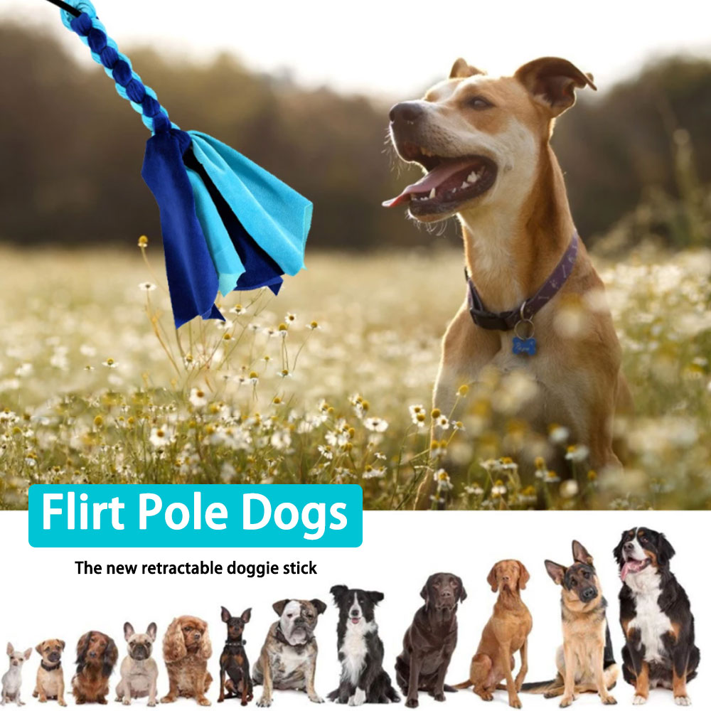Retractable Dog Stick Interact - Indestructible Dog Chew Toy recension och pris