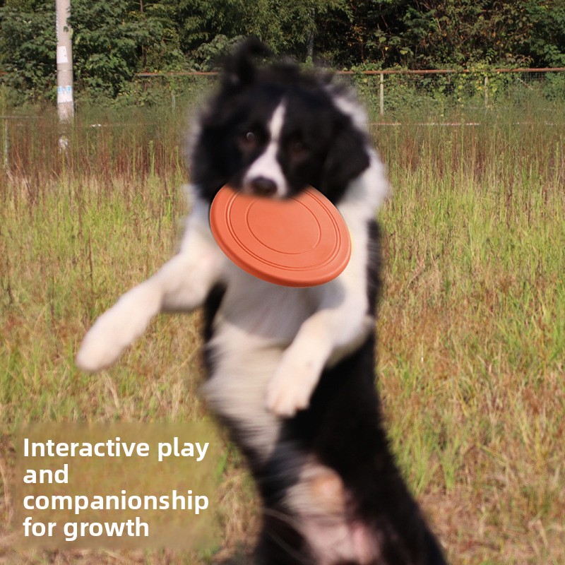 Bite Resistant Floating Soft P - Flying Disc Dog Training Toy recension och pris
