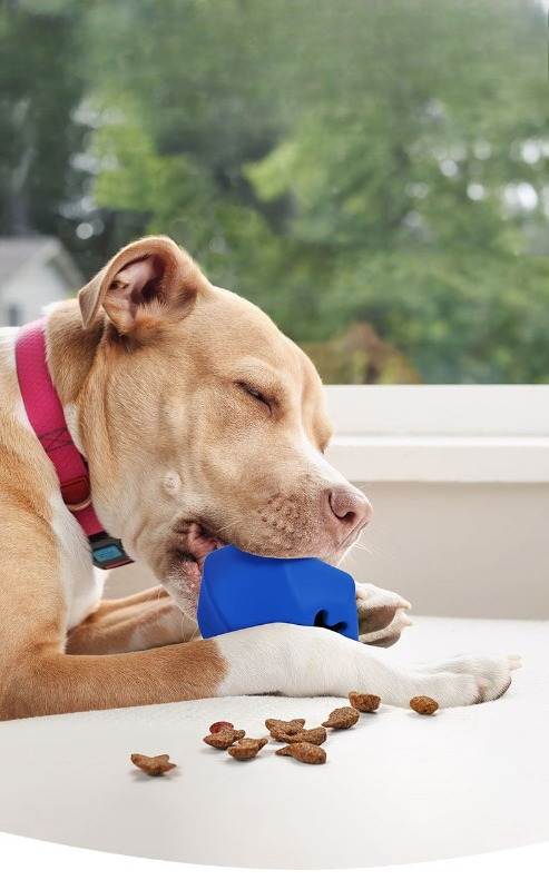 Durable Rubber Dog Treat Dispe - Rubber Treat Dispensing Dog Toy recension och pris