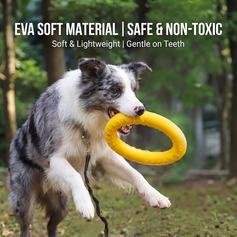Dog Toys Pet Flying Discs EVA  - Suction Cup Dog Tug Toy recension och pris