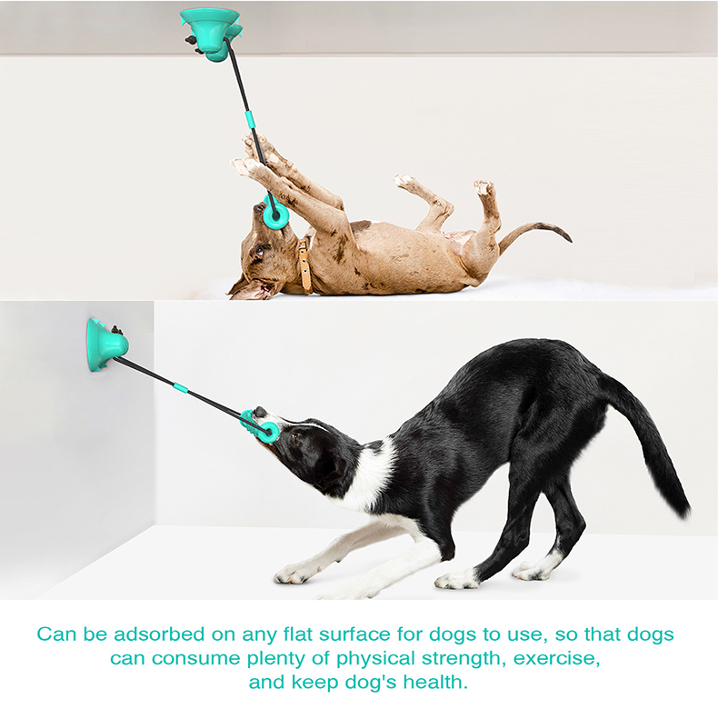 Dual Suction Cup Dog Chew Tug  - Dog Rope Toy Aggressive Chewers recension och pris
