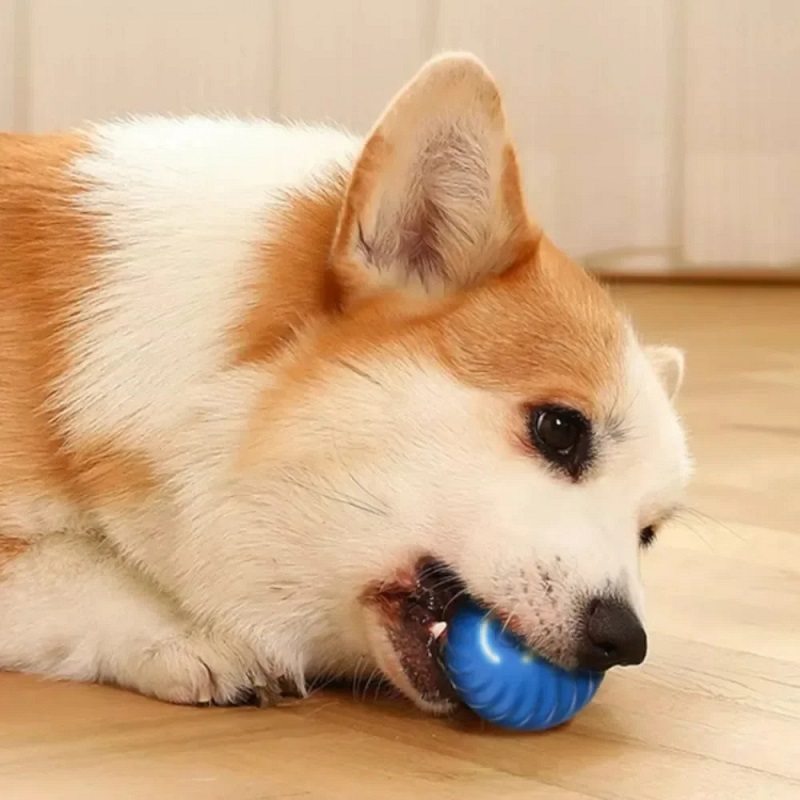 Automatic Moving Dog Toy Ball  - Automatic Moving Dog Ball recension och pris