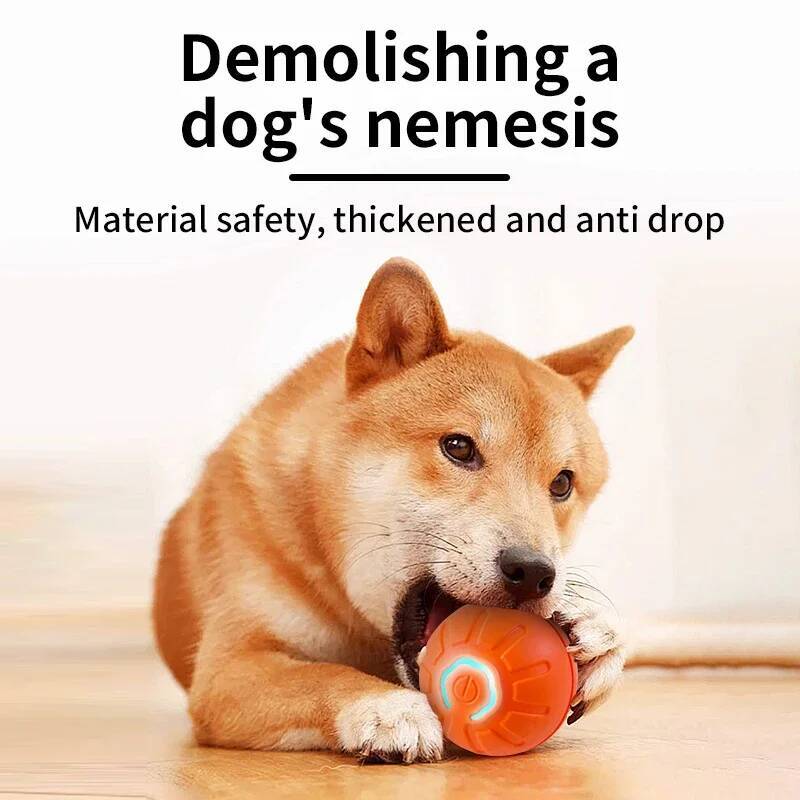 Smart Dog Toy Ball Electronic  - Automatic Moving Dog Ball recension och pris