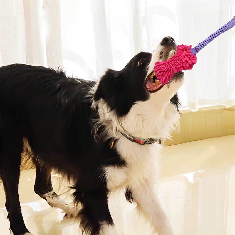 Durable Dog Toys for Aggressiv - Suction Cup Dog Tug Toy recension och pris