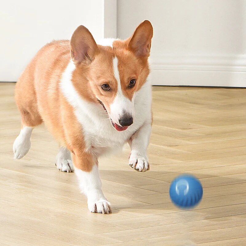 Dog Toys Intelligent Gravity J - Suction Cup Dog Tug Toy recension och pris