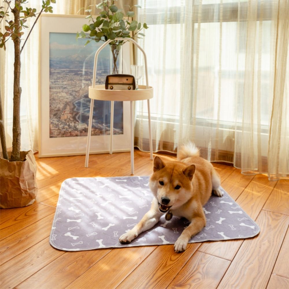 Durable Super Absorbent Pet Be - Pet Beds recension och pris