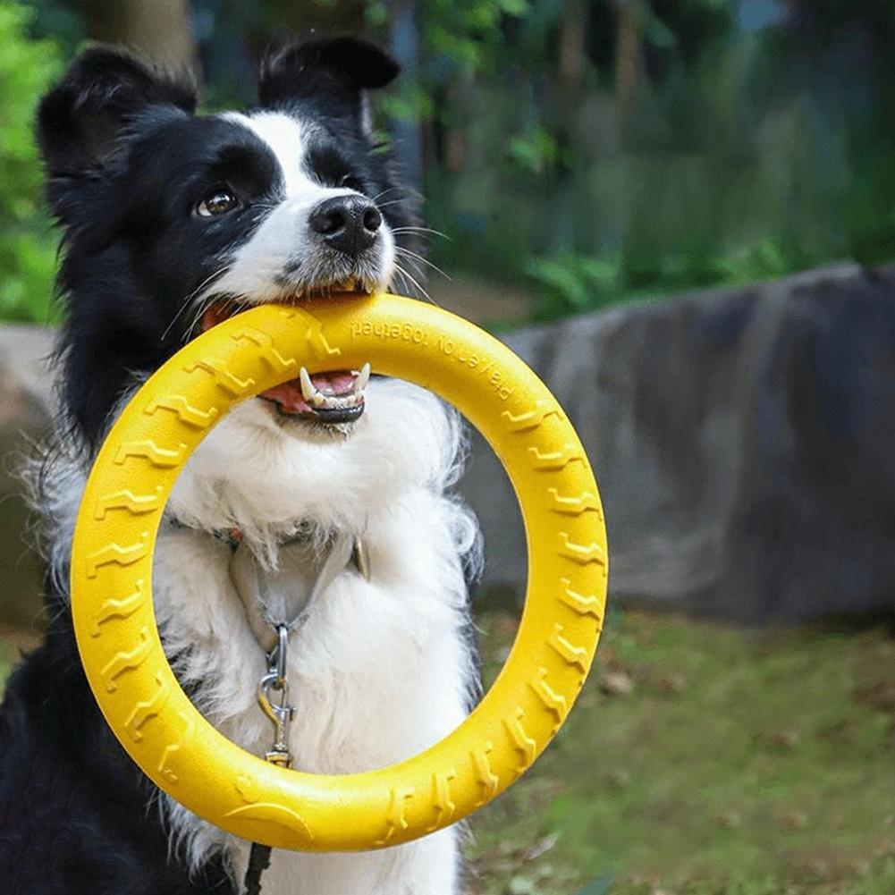 Dog Ring Toys Indestructible C - Suction Cup Dog Tug Toy recension och pris