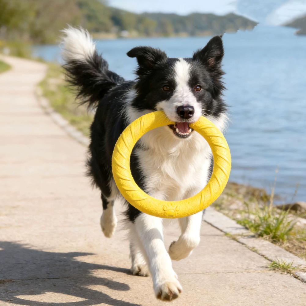 Dog Ring Toys Indestructible C - Suction Cup Dog Tug Toy recension och pris