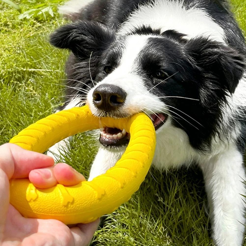 Dog Ring Toys Indestructible C - Suction Cup Dog Tug Toy recension och pris