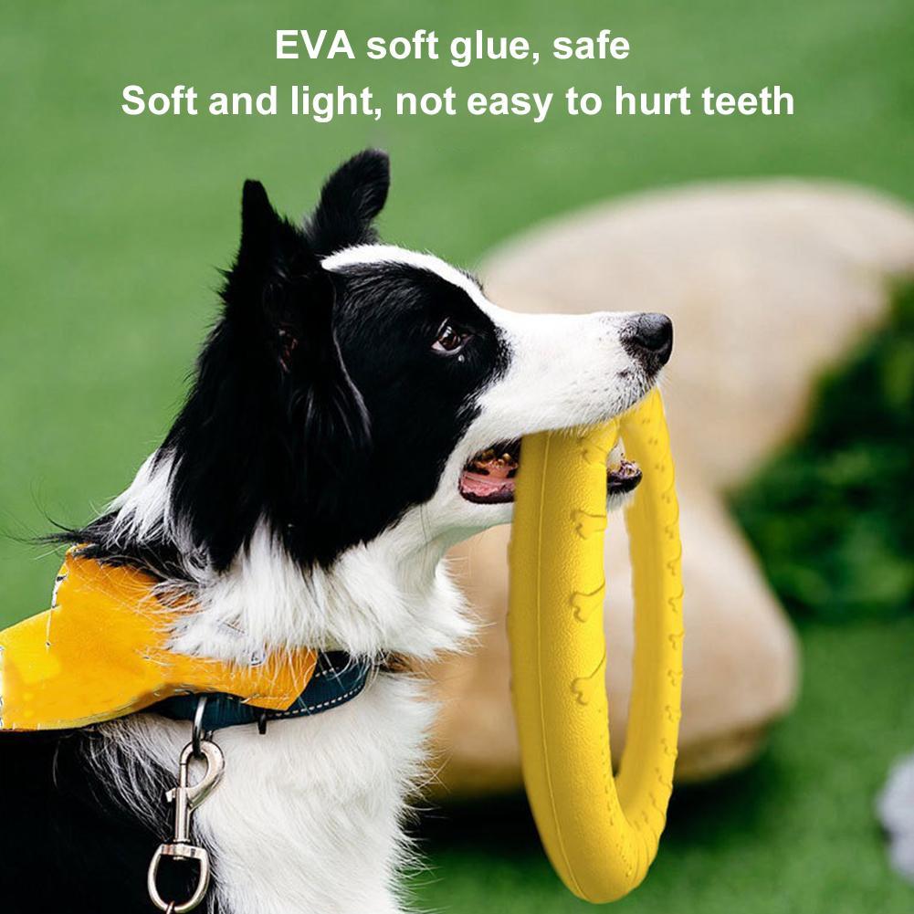 Dog Ring Toys Indestructible C - Suction Cup Dog Tug Toy recension och pris