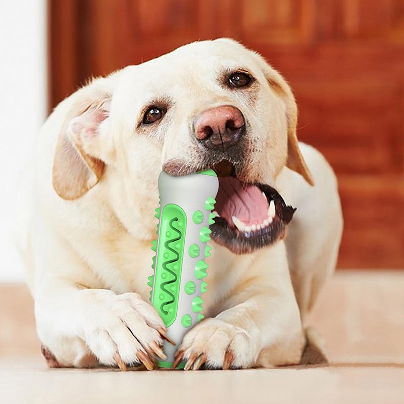 TPR Dog Molar Stick Chew Toy D - Teeth Cleaning Dog Chew Bone recension och pris