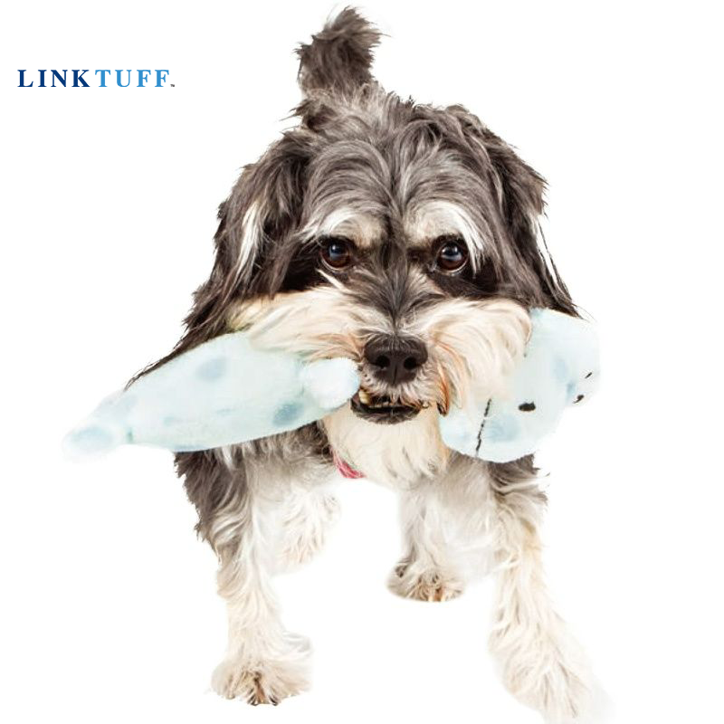 Linktuff Pet Dog Squeaky Train - Suction Cup Dog Tug Toy recension och pris
