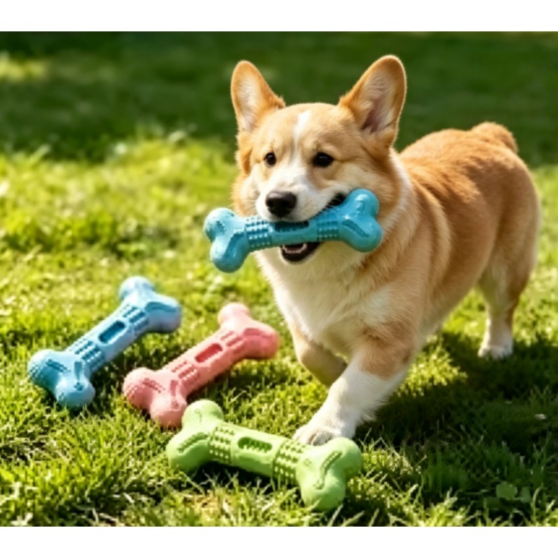 New Durable Pet Chew Toy Set D - Teeth Cleaning Dog Chew Bone recension och pris