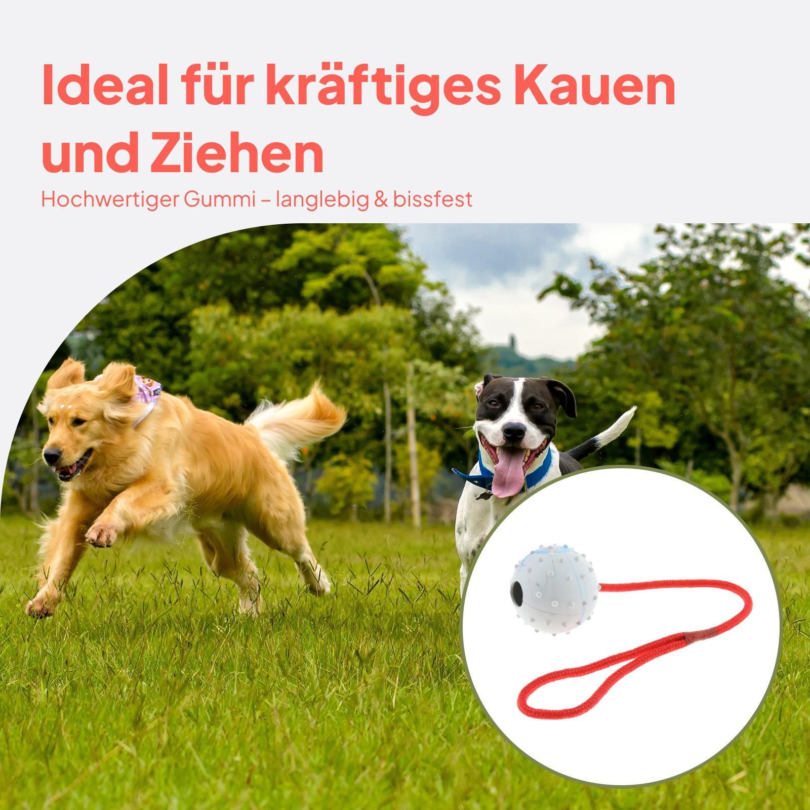 Pet Training Toy Soft Rubber C - Rubber Treat Dispensing Dog Toy recension och pris